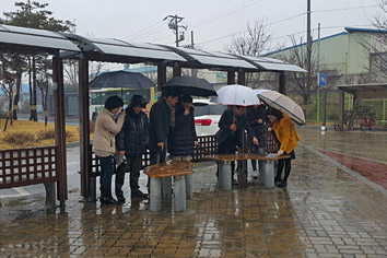 야외에서 전시품을 구경하는 사진2